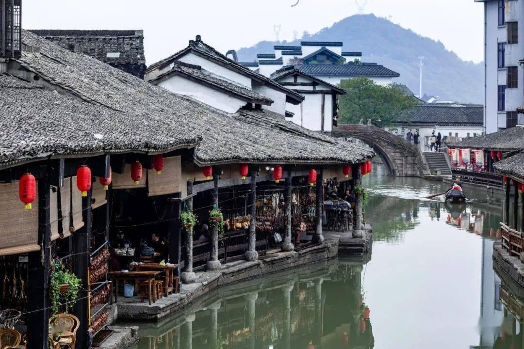 了解夏天喝什么茶好?知识星球,拓展您的知识圈子